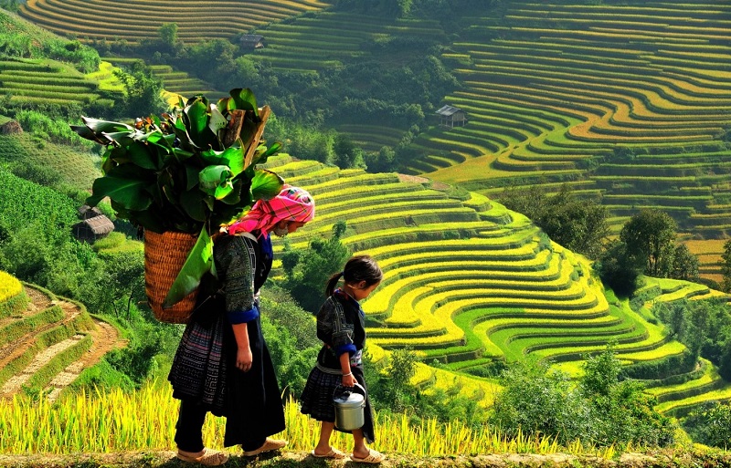 Vẻ đẹp những thửa ruộng bậc thang tại Sapa Vẻ đẹp những thửa ruộng bậc thang tại Sapa