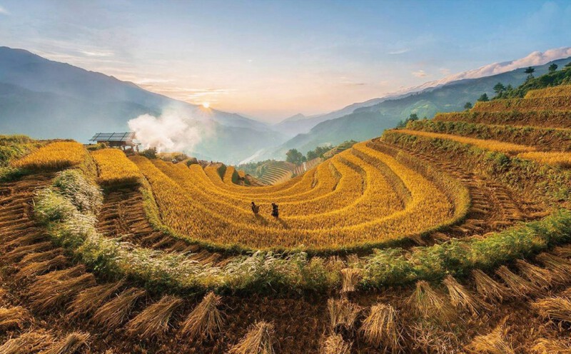 Sắc vàng phủ khắp núi rừng Tây Bắc ở Sapa Sắc vàng phủ khắp núi rừng Tây Bắc ở Sapa