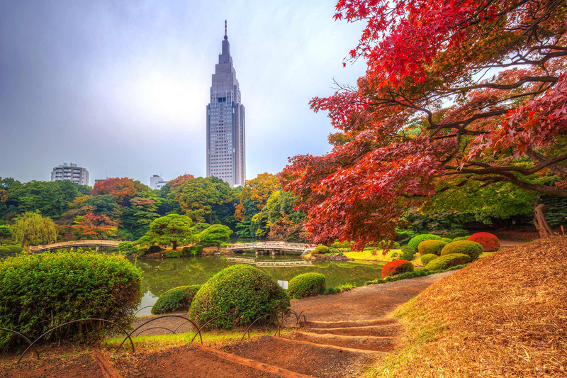 C&ocirc;ng vi&ecirc;n Shinjuku Gyoen m&ugrave;a thu