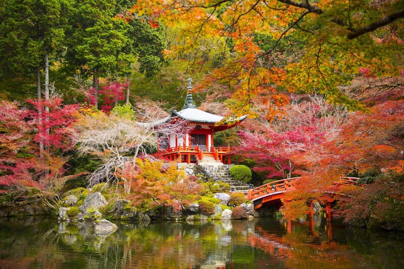 Ch&ugrave;a Daigo-ji: Thi&ecirc;n đường m&ugrave;a thu ở Kyoto