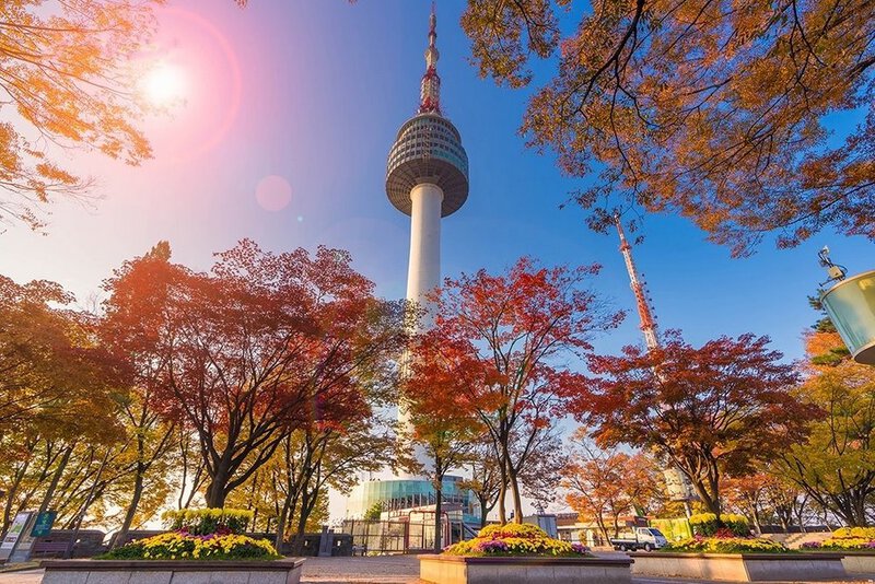 Vi vu Busan - Seoul mùa thu Vi vu Busan - Seoul mùa thu