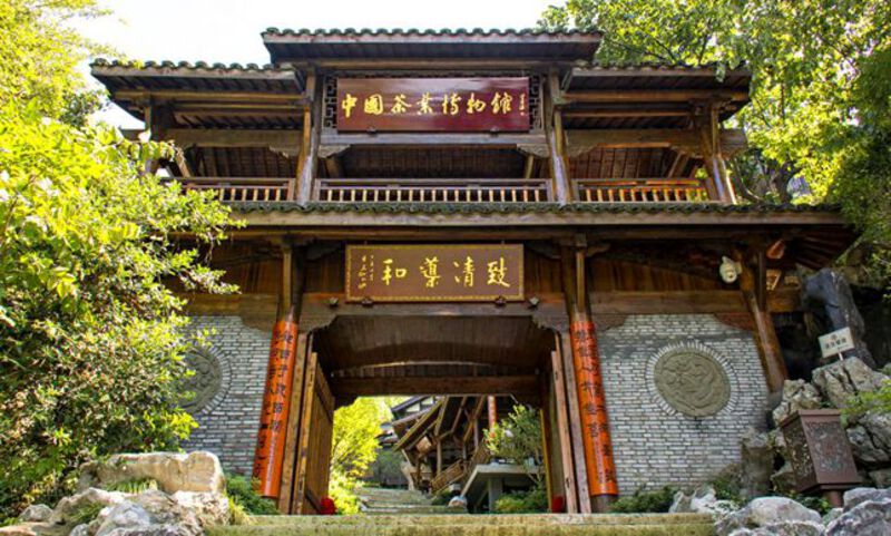 Bảo t&agrave;ng Tr&agrave; Trung Quốc