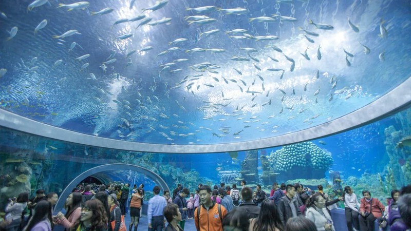 Viện Hải Dương học Nha Trang Viện Hải Dương học Nha Trang