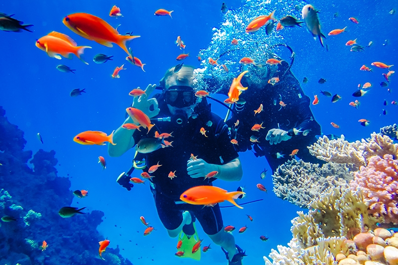 Vịnh san hô Nha Trang Vịnh san hô Nha Trang