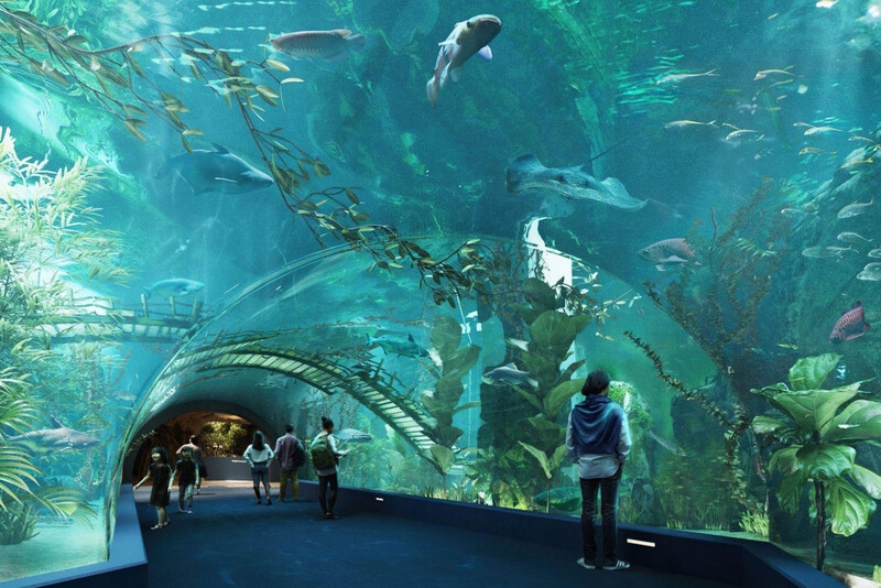 Thủy cung Lotte Mall Tây Hồ Thủy cung Lotte Mall Tây Hồ