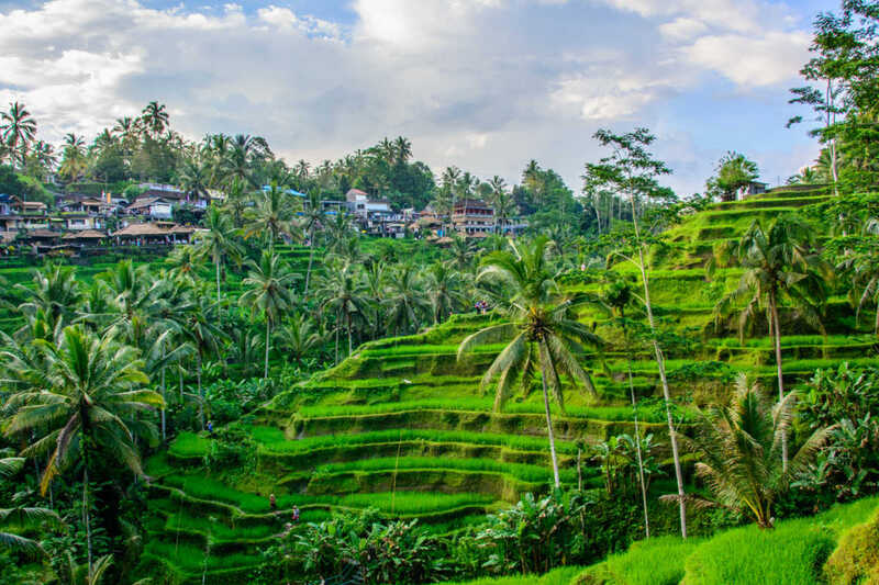 Nhiều khu nghỉ dưỡng yên tĩnh tại Ubud Nhiều khu nghỉ dưỡng yên tĩnh tại Ubud