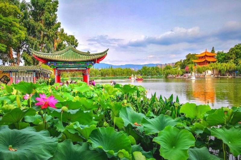 Mùa hoa súng tại Đại Quan Lầu Mùa hoa súng tại Đại Quan Lầu