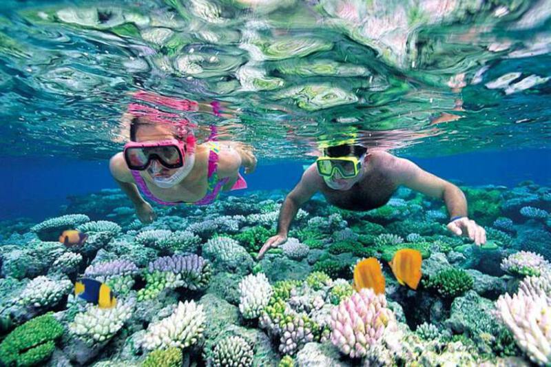 Du khách lặn ngắm san hô tại đảo Koh Larn Du khách lặn ngắm san hô tại đảo Koh Larn