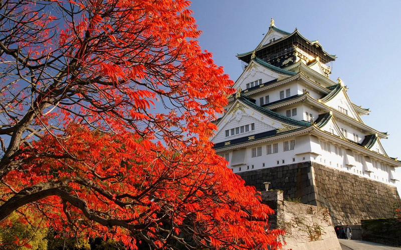 V&igrave; sao n&ecirc;n du lịch Osaka v&agrave;o m&ugrave;a thu?