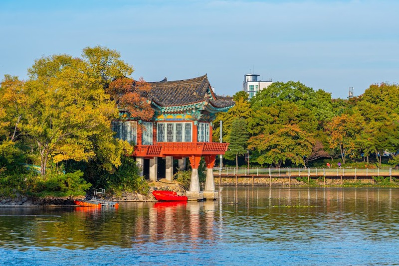 Daegu mùa thu Daegu mùa thu
