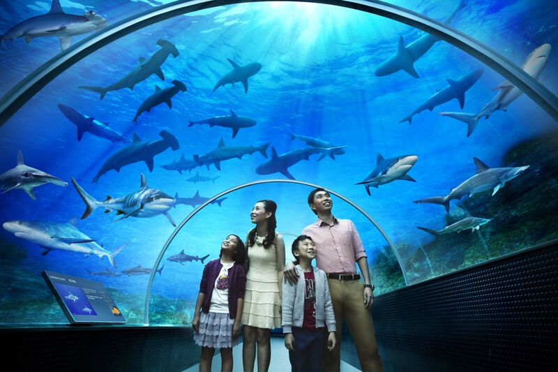 S.E.A Aquarium tại Singapore S.E.A Aquarium tại Singapore