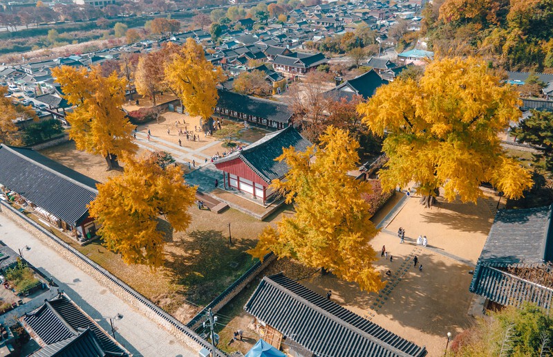 Làng Jeonju Hanok mùa thu Làng Jeonju Hanok mùa thu