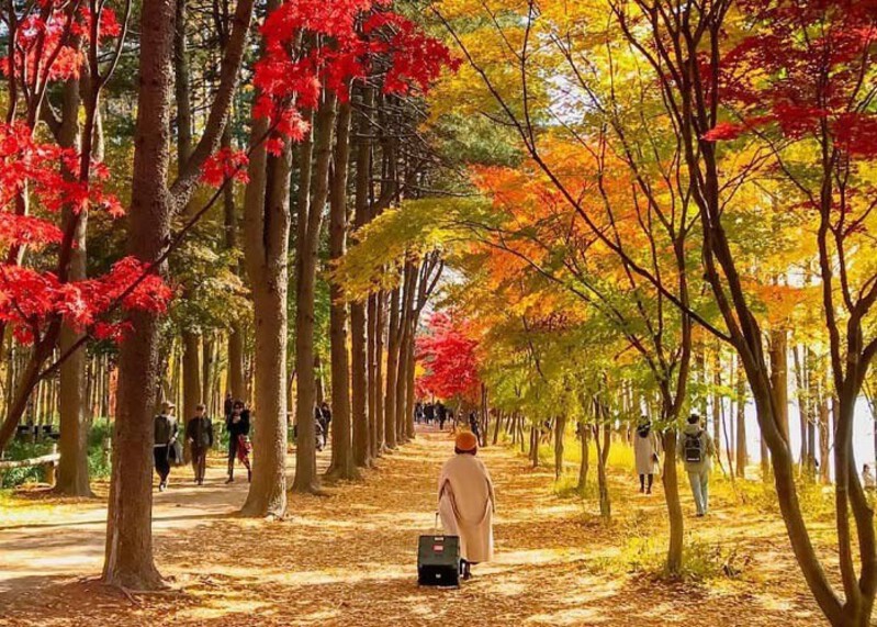 Mùa thu là thời điểm thích hợp để du lịch Hàn Quốc Mùa thu là thời điểm thích hợp để du lịch Hàn Quốc