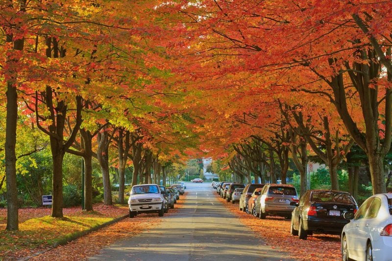 Vancouver m&ugrave;a thu