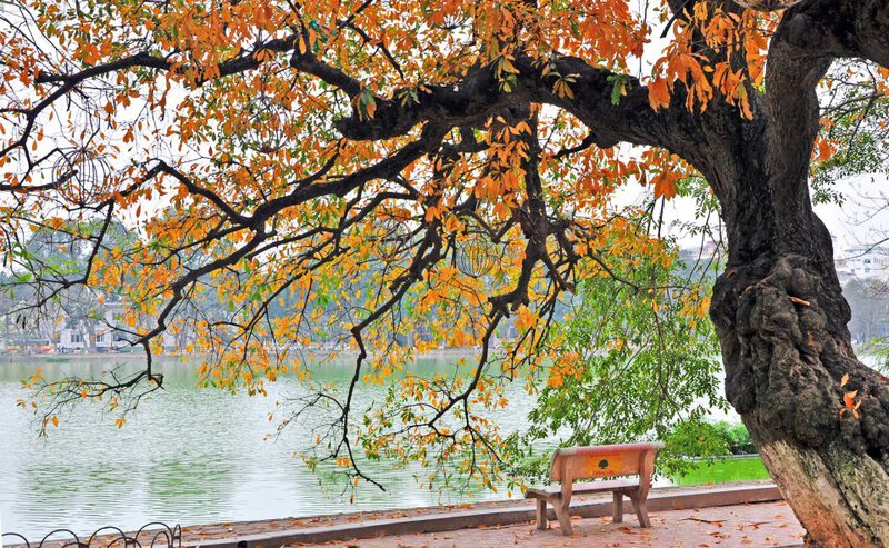 Mùa thu lãng mạn tại miền Bắc Mùa thu lãng mạn tại miền Bắc