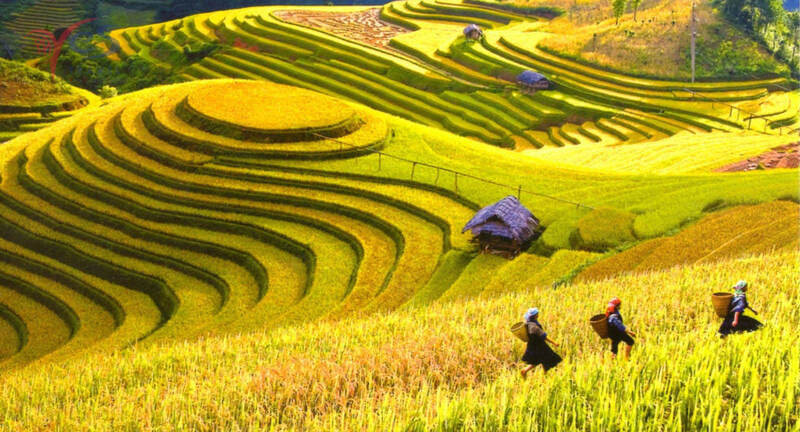 Sapa – Thành phố mờ sương Sapa – Thành phố mờ sương