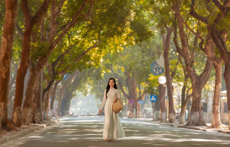 Đường Phan Đình Phùng mùa thu Đường Phan Đình Phùng mùa thu
