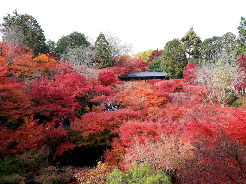 Cảnh sắc mùa thu tại chùa Kiyomizu-dera, Nhật Bản Cảnh sắc mùa thu tại chùa Kiyomizu-dera, Nhật Bản
