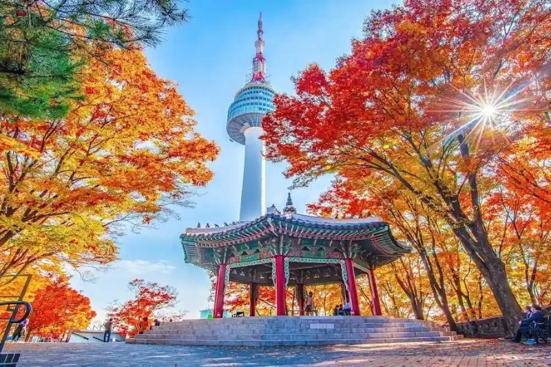 Seoul - Hành trình ngắn, trải nghiệm trọn vẹn Hàn Quốc Seoul - Hành trình ngắn, trải nghiệm trọn vẹn Hàn Quốc