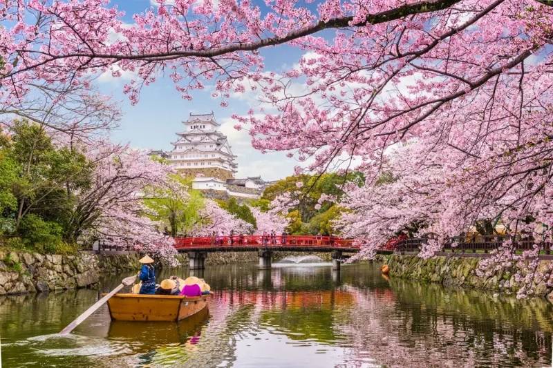 Lâu đài Osaka mùa hoa anh đào Lâu đài Osaka mùa hoa anh đào