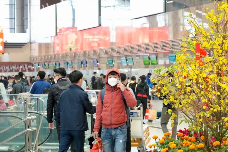Yếu tố m&ugrave;a vụ v&agrave; nhu cầu đi lại tăng cao