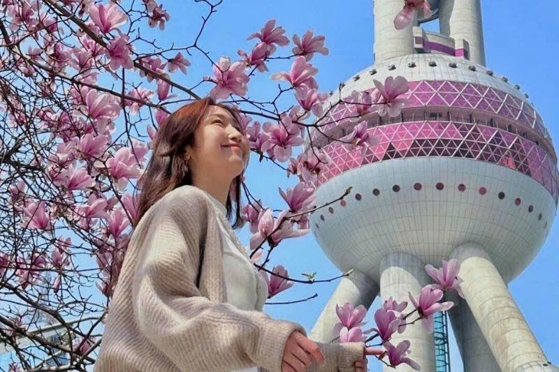 Mẹo chụp ảnh với hoa anh đào Mẹo chụp ảnh với hoa anh đào