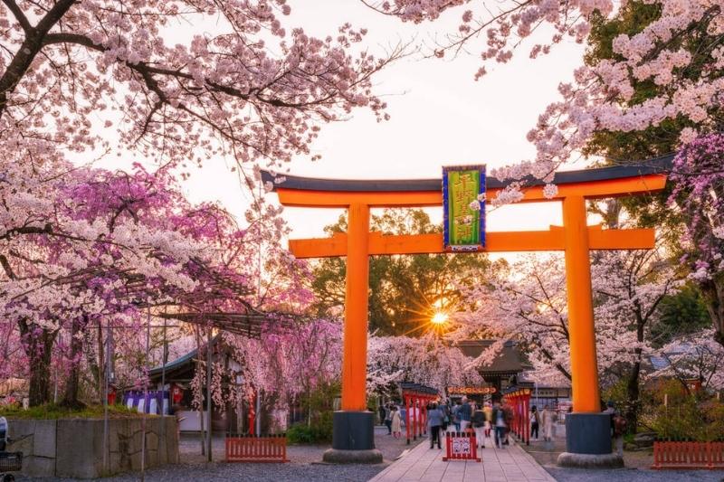 Kyoto mùa hoa anh đào Kyoto mùa hoa anh đào
