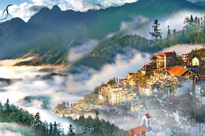 Tam Đảo mờ sương Tam Đảo mờ sương