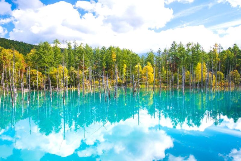 Hồ xanh Blue Pond mùa hè Hồ xanh Blue Pond mùa hè