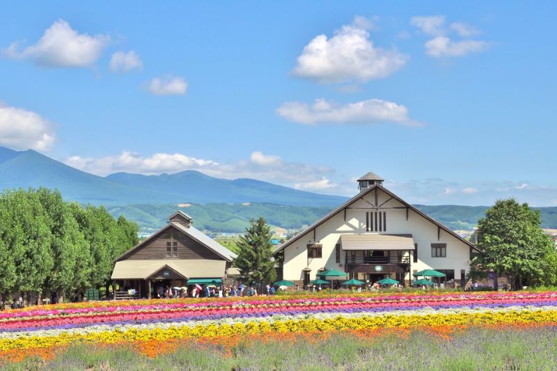 Vì sao nên du lịch Hokkaido mùa hè? Vì sao nên du lịch Hokkaido mùa hè?
