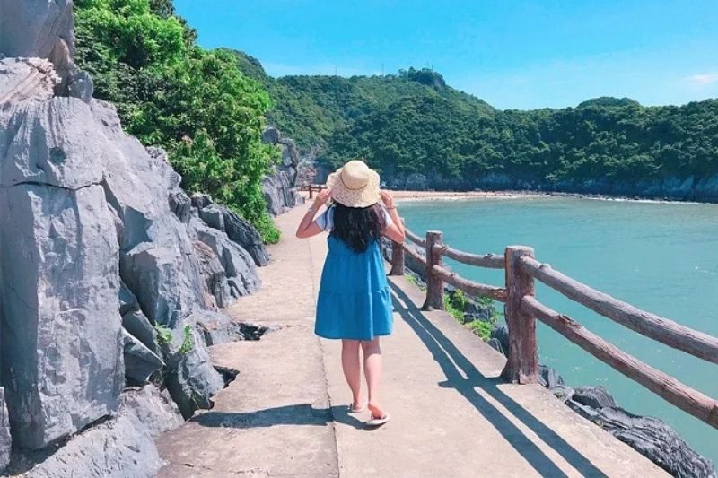 Du lịch Cát Bà mùa hè Du lịch Cát Bà mùa hè