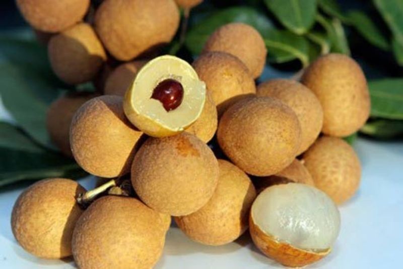 Nhãn lồng đặc sản Hưng Yên Nhãn lồng đặc sản Hưng Yên