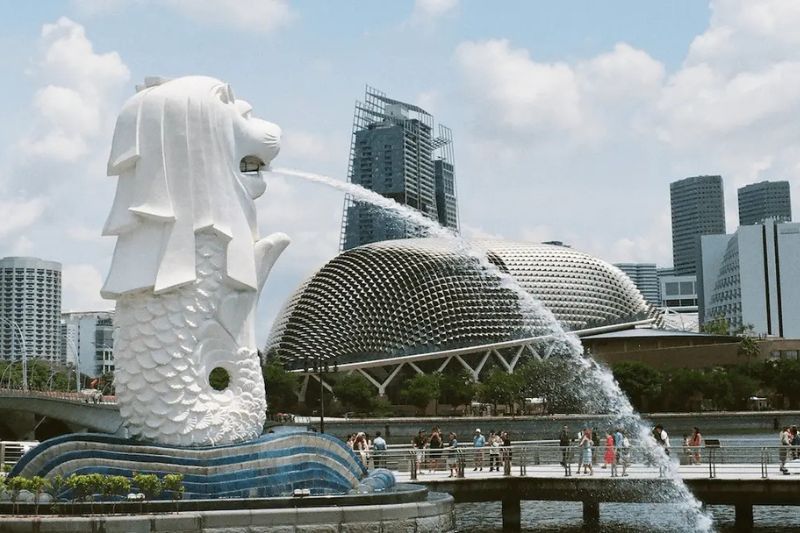 kinh nghiệm đặt vé máy bay giá rẻ kinh nghiệm đặt vé máy bay giá rẻ