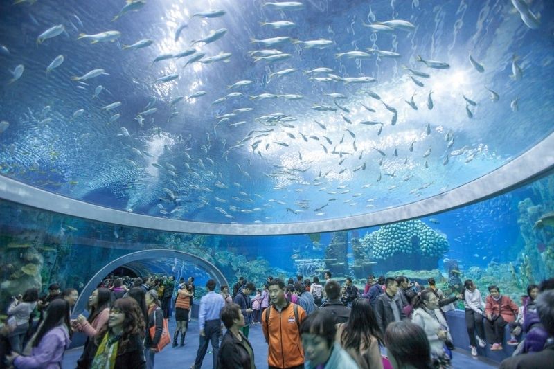 Viện Hải dương học Nha Trang Viện Hải dương học Nha Trang