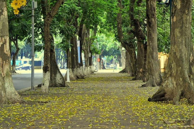 Hà Nội mùa thu Hà Nội mùa thu